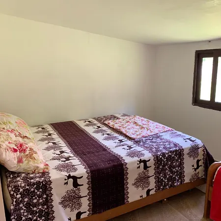 Guest house Koceku